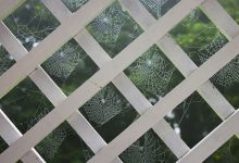 Cobwebs balcony