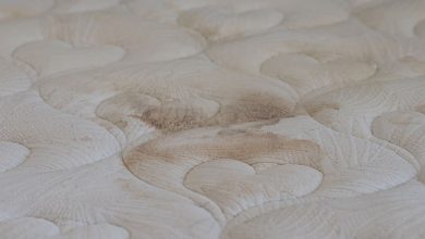 Mold stains mattress