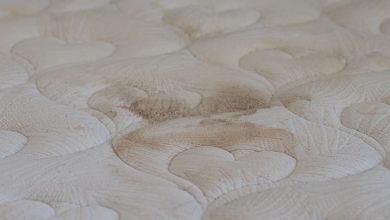 Mold stains mattress