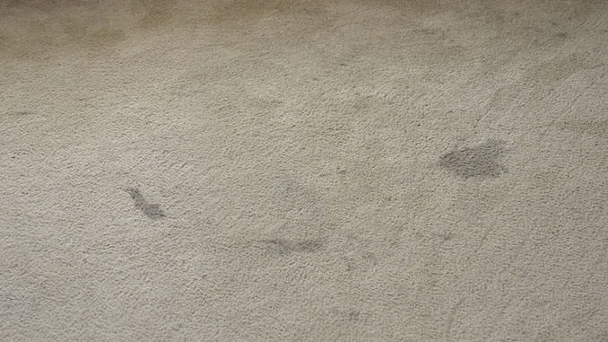 Make-up Stains on Carpets