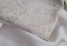Remove Mold from Silk