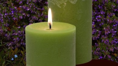 Candles